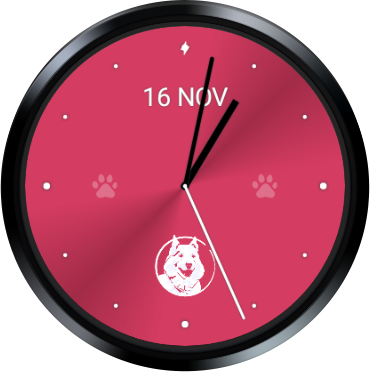 El Mundo de Kira Watch Face - Wear OS.